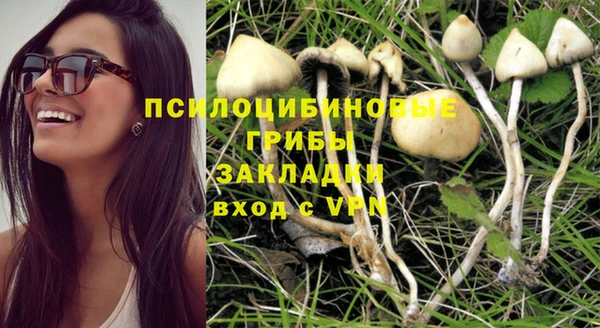 крисы Новозыбков