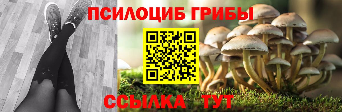КОКАИН  NBOMe  Меф МЯУ МЯУ кристаллы  ГАШИШ  ГАШИШ  Камышлов  Вход с VPN  Экстази  Марихуана 